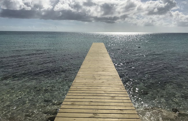 Buttonwood Reserve 2D - Photo 32