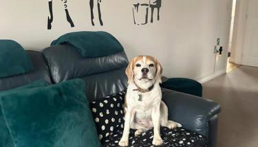 Hereford - Finch House - Modern 4 Bedroom House Located in South Hereford, Dog Friendly With Nearby Countryside, Pool Table, Sleeps up to 10 Guests - Hosted by RENTMYHOUSE - Foto 1