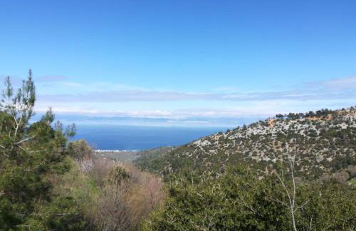 Eden View - Photo 41