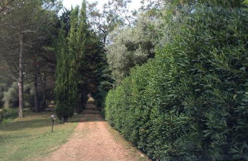 Tuscany country house, Poggio Vitale - Foto 31