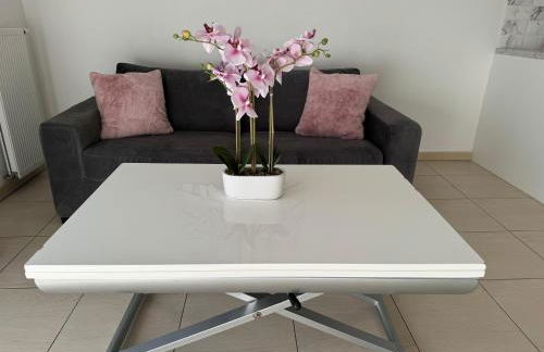 Appartement à Frejus avec piscine et terrasse - Foto 12