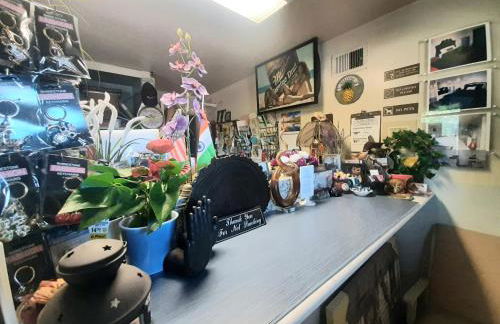 The New Star Motel with Studio-Kitchens: 1950s Extended-Stay Lodging and Retreat Center - Foto 74