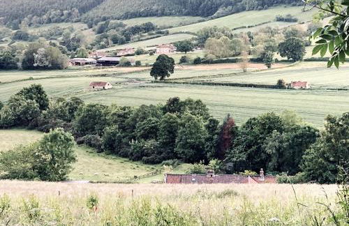 Robins Cottage cosy home hot tub quiet village - Foto 11