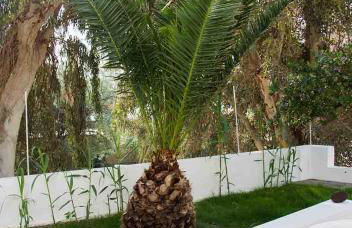 Sail Inn Studios & Apartments - Foto 52