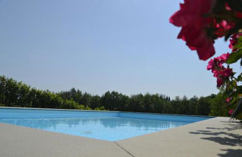 Casa Monstagol - Foto 5