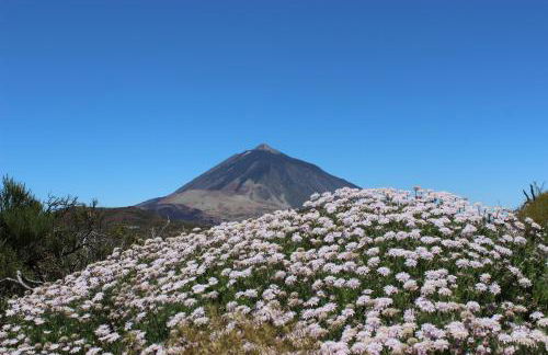 Apt El Perenquen - Foto 32
