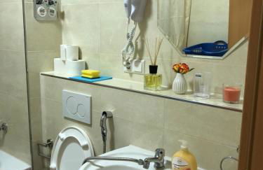 Sahara Falcon - Photo 158