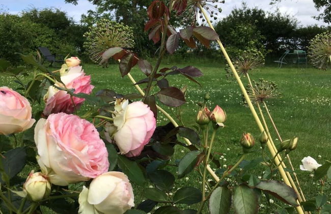 Studio House on Hof Jumne - Foto 35