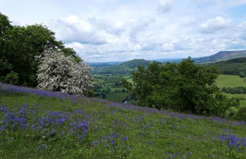 3 Bed in Brecon oc-bn351 - Foto 26