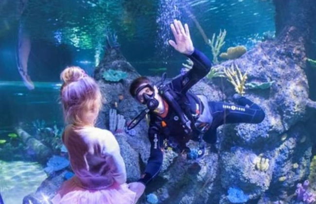 Captivating 3-bed Caravan at Golden Palm Skegness - Foto 28