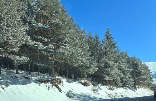 Biznaga Nevada - Foto 47