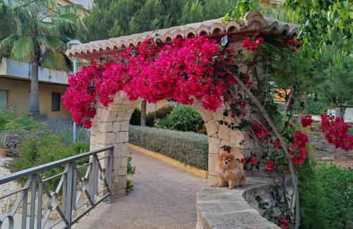 Apartamento con piscina a unos metros de la playa - Foto 15