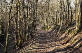 Haus Resi in Kleinich - Foto 30