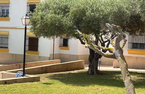 BEAUTIFUL RENOVATED 1 BEDROOM APARTMENT WITH ACCESS TO 4 POOLs - Foto 8