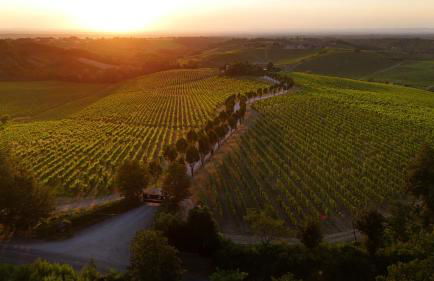 La Tenuta La Meirana - Foto 61