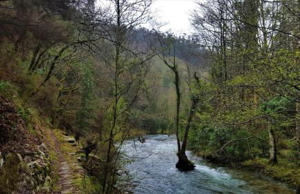 Casa Berdeal - Foto 42