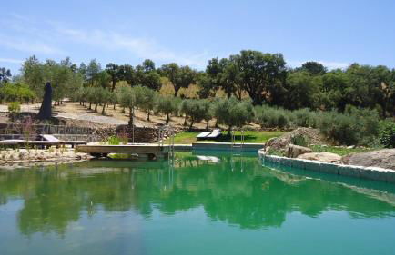 Bela Vista Silo Housing - Foto 43