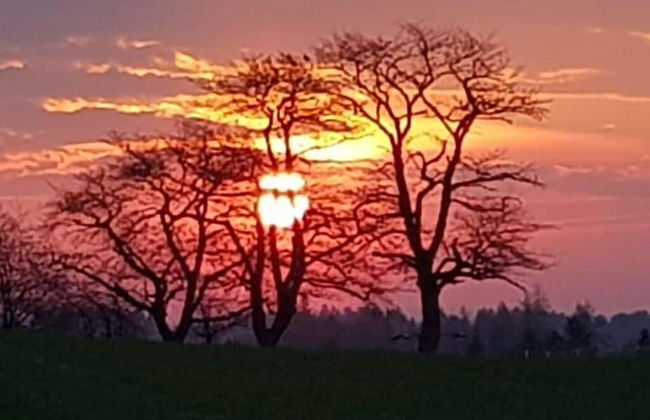 Frankenwaldhaus Comfortable Holiday Residence - Foto 11