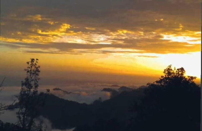 Sharry's Homestay - Foto 29