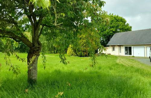 Couleur Jardin - Foto 14