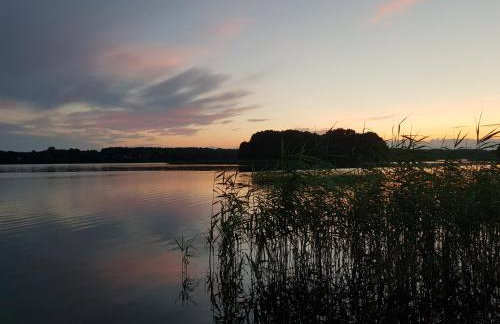 Łap Las Pelnik - Photo 78