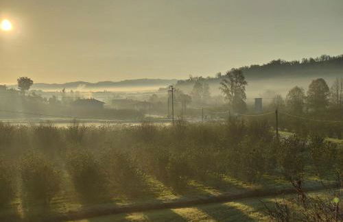 Casa Emy da Teresina - Photo 25