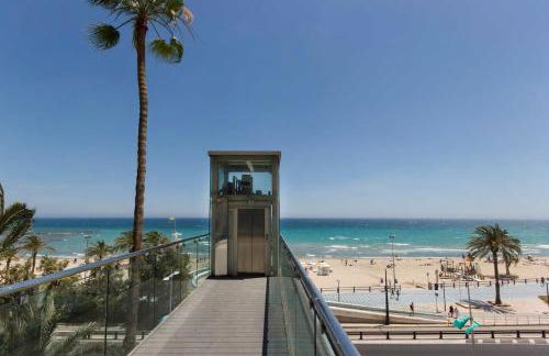 Flamenco I - Photo 13