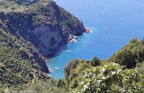 Walk and Relax Retreat - HOMY 5 TERRE - Foto 10