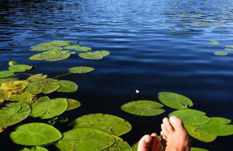 Hintere Schöne - Foto 35