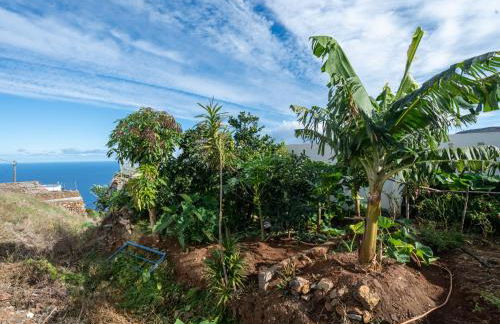 Live La Palma Lomo La Crucita - Foto 4