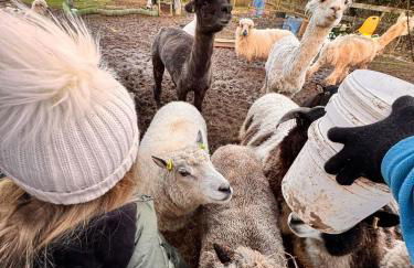 Ruby's Retreat! Farm Stay! North devon! Sleeps 6! Beaches Exmoor! - Foto 24