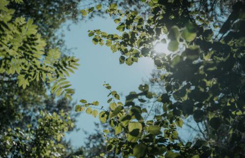 Forest Cabin - 50min od Warszawy - Foto 21