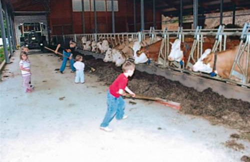 Ferienhof Lang - Foto 43