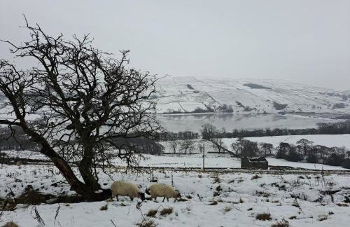 Beebole Cottage - Foto 38