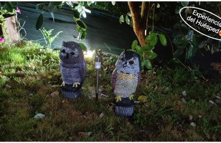 Eido da Consaca - Photo 38