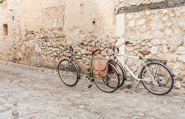 Finca Can Beneït - Photo 76