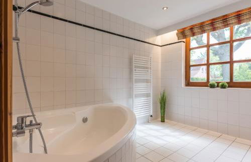 Fährhauslodges Natur in Sicht - Foto 47