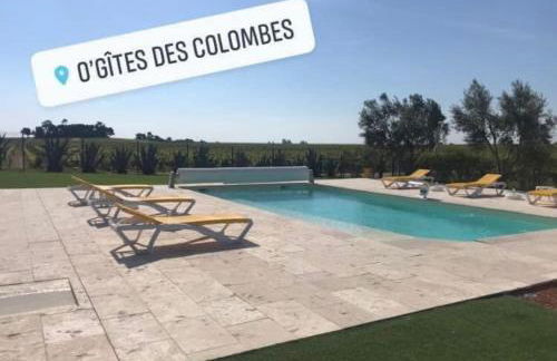 O’gîtes des colombes - Foto 23