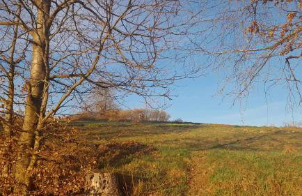 Olberówka - Foto 19