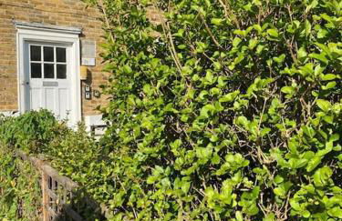 One bedroom Putney Village flat - Foto 25