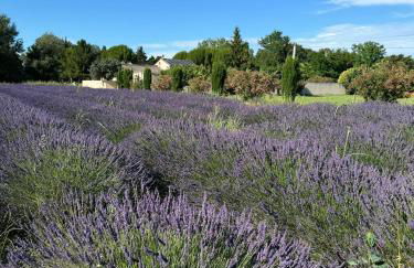 Appartement neuf et au calme proche Avignon - Foto 30