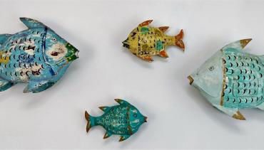 Calamilloraptm - Foto 5