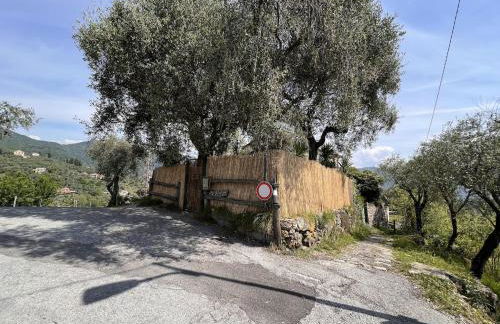 Les Oliviers - Foto 9