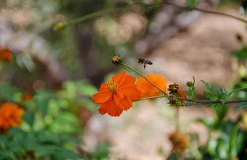 Helen's Minimal Studios & Apartments - Photo 53