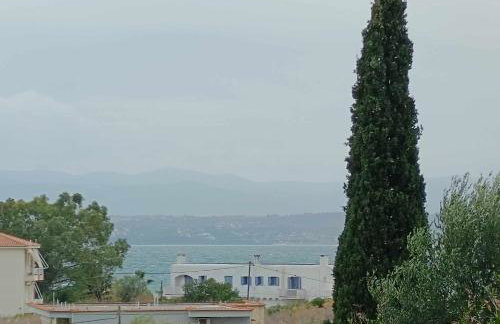 Seaside villa in Eretria - Photo 11