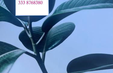 Salento Monolocale blu - Foto 3