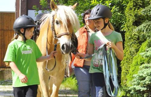 Haflinger Reiterhof Meura - Foto 19