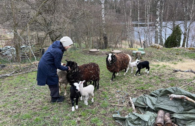 3 Person Holiday Home in Molnbo - Foto 16