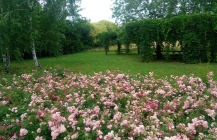 Agriturismo Il Magicorto - Photo 6