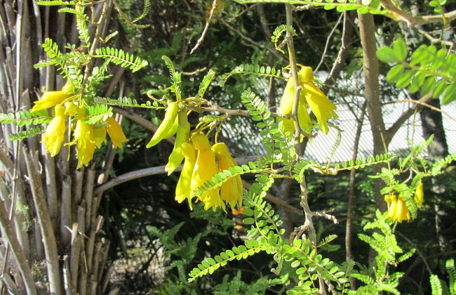 Craicor Accommodation - Foto 35